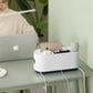 Power Strip Wire Case Cable Storage Box - HomeTidy UK